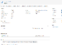 issue_screen.png