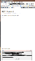 Bug_Bildexport_InlinedImage.PNG