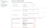 Bulk update custom fields.png