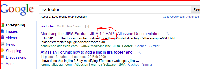 Google Search.PNG