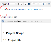 Edit - Project Plan - Project Skeleton - Confluence_2011-12-07_07-51-50.png