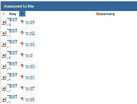 assigned to me IE8.PNG